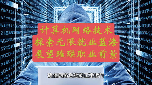 計算機網絡技術 探索無限就業(yè)藍海，展望璀璨職業(yè)前景